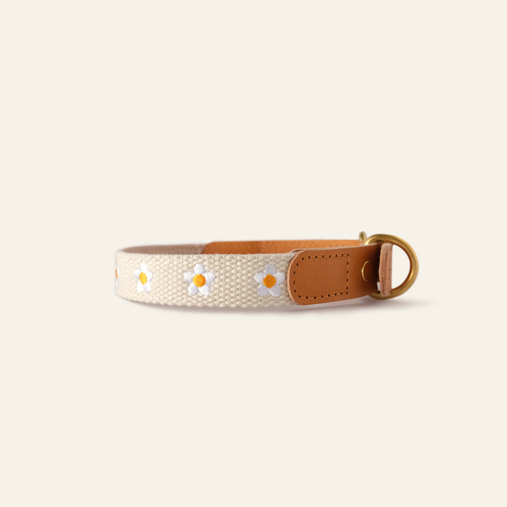 Daisy Collar and Leash - Beige