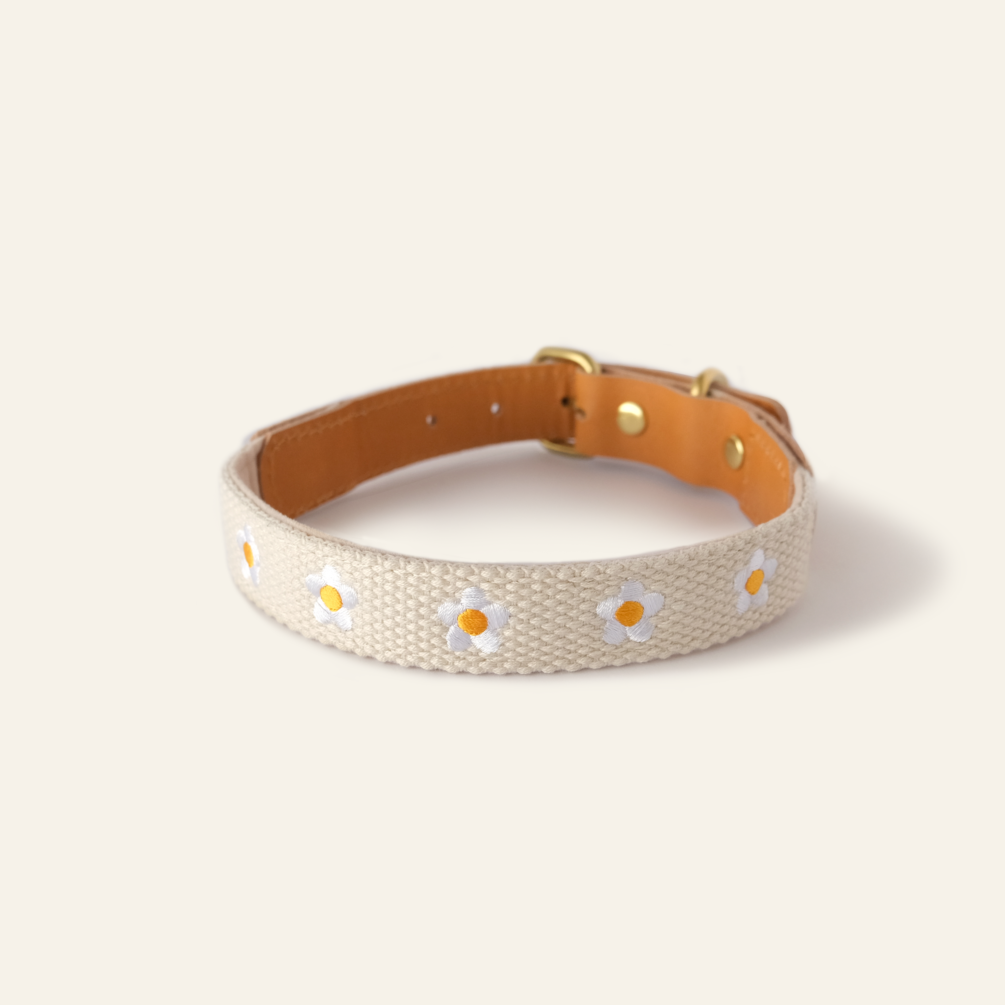 Daisy Dog Collar - Beige