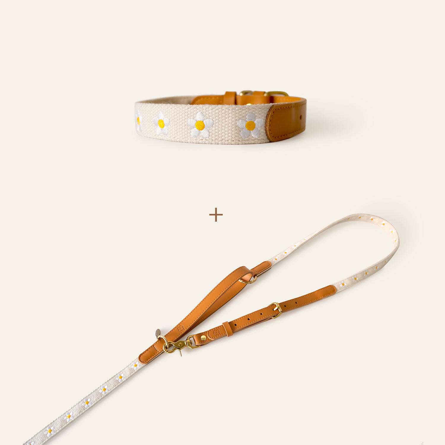 Daisy Collar &  Hands-Free Leash