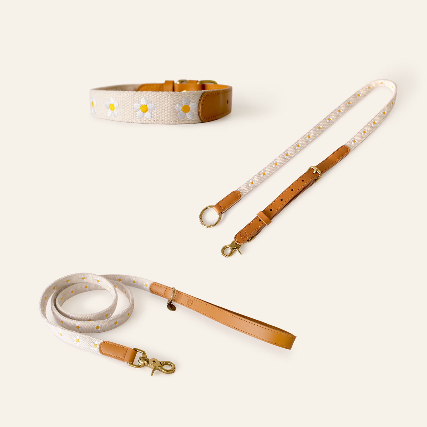 Daisy Collar & Leash & Hands-Free Leash Adapter