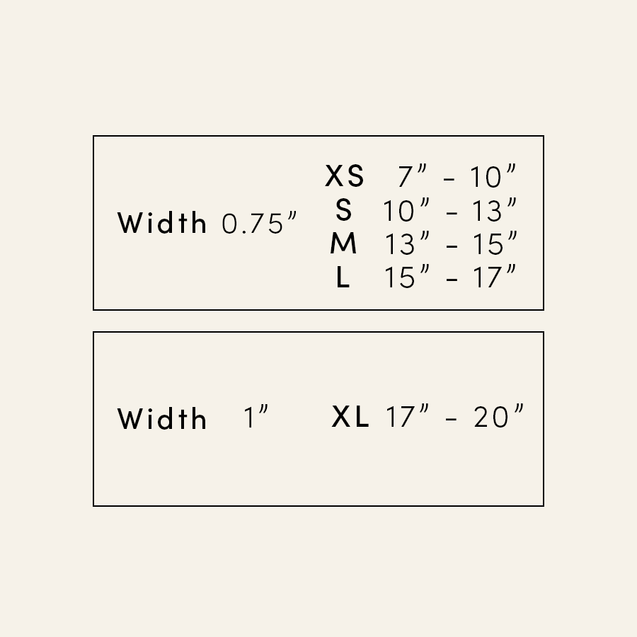 Daisy Collar and Leash - Black