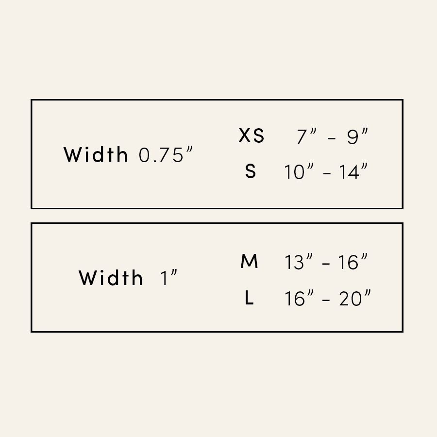 Daisy Collar and Leash - Beige