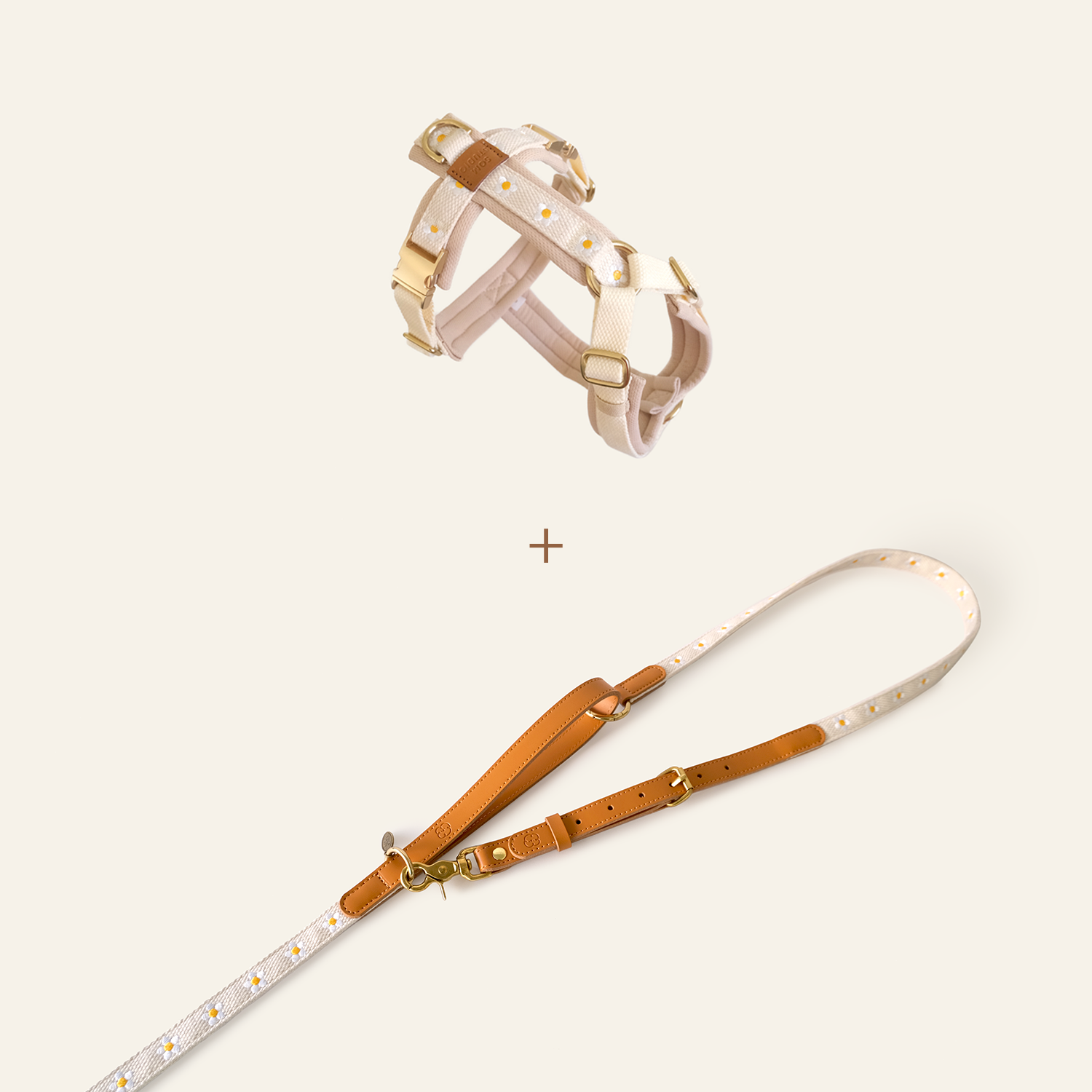 Daisy Harness & Hands-Free Leash