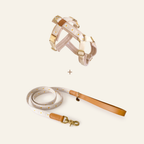 Daisy Harness & Leash