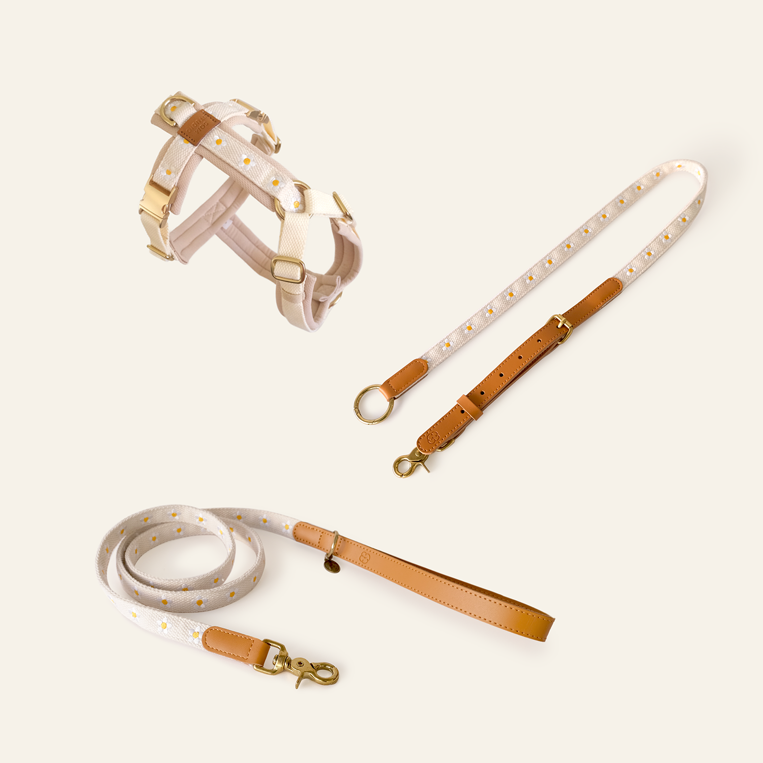 Daisy Harness & Leash & Hands-Free Leash Adapter