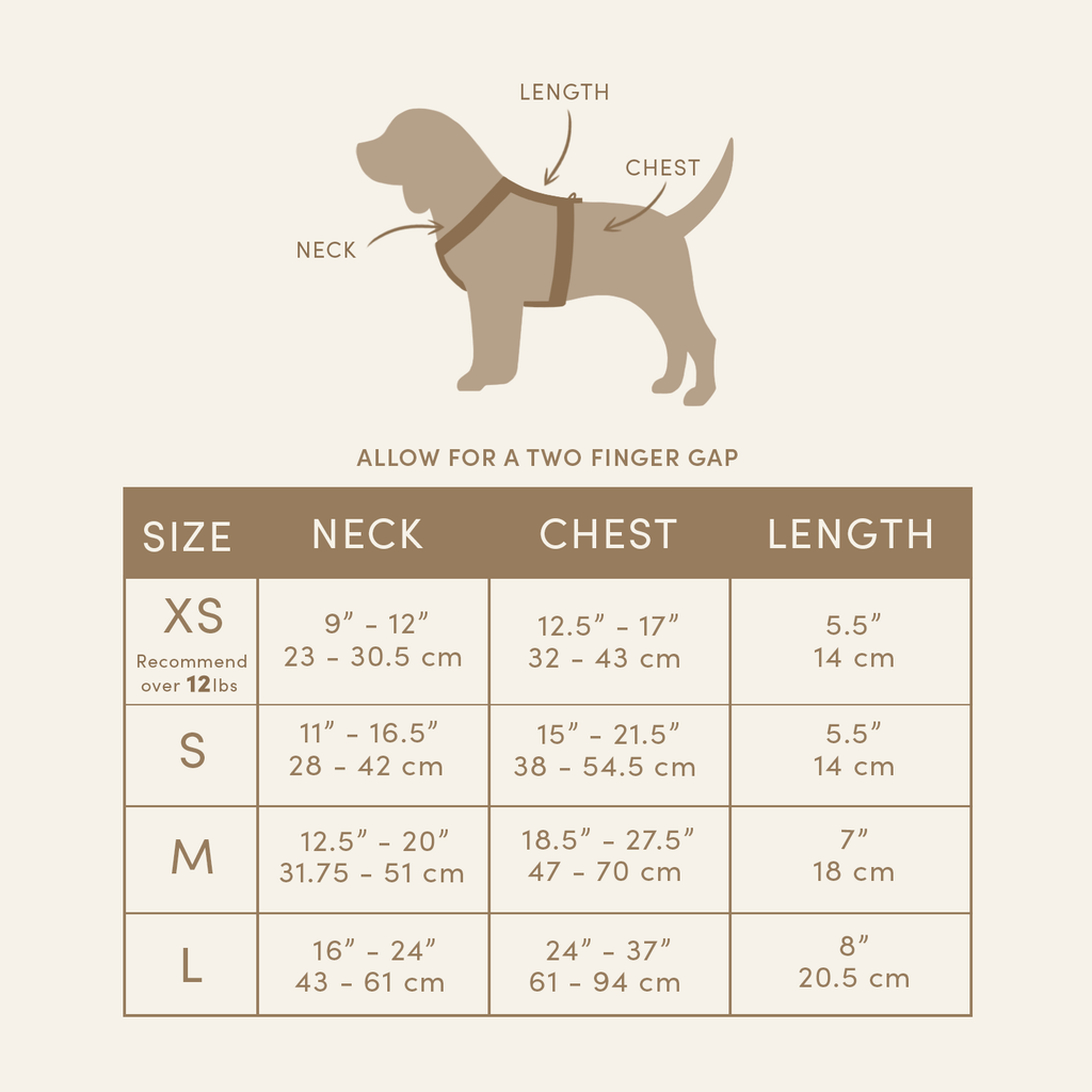 Daisy Dog Harness