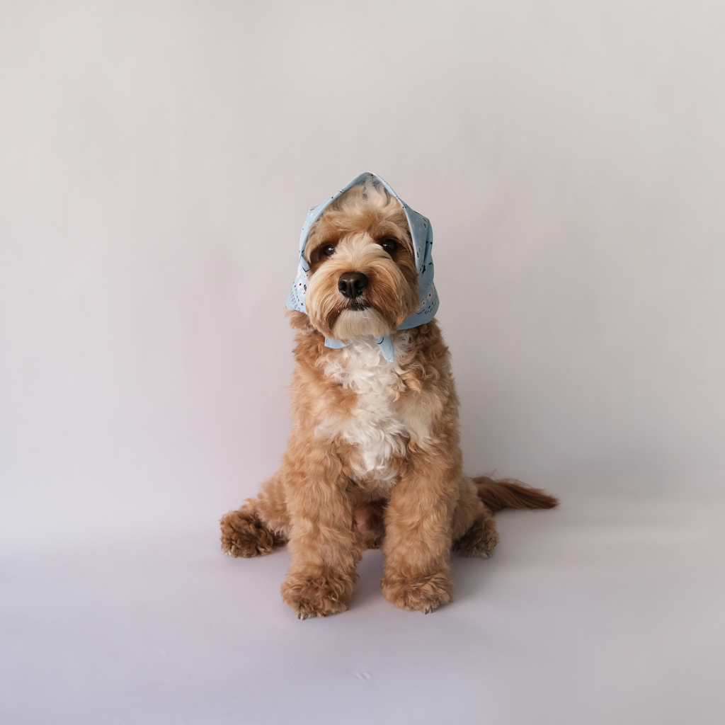 Paisley Bandana - Blue
