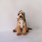 Paisley Bandana - Blue