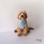 Paisley Bandana - Blue