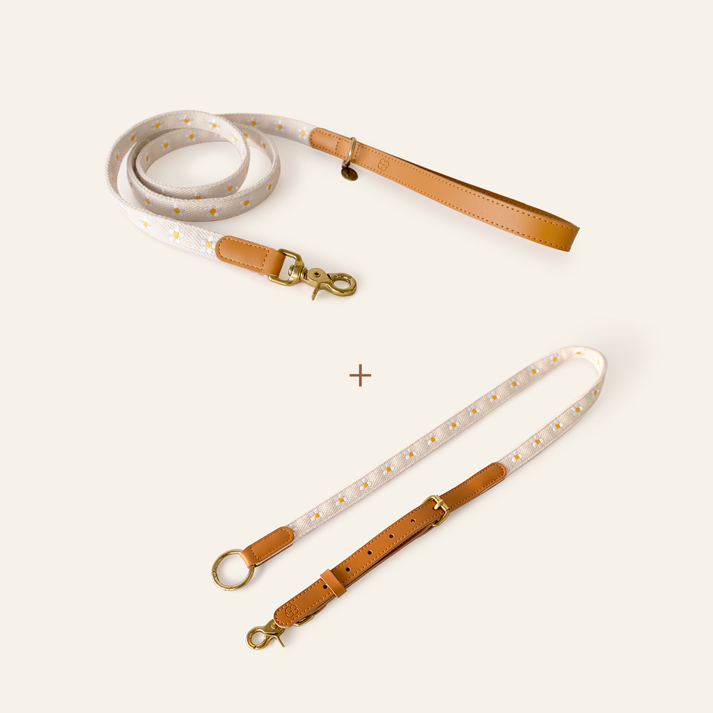 Daisy Leash & Hands-Free Adapter
