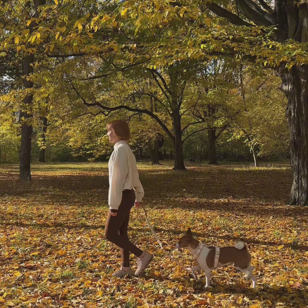 Daisy Harness and Leash