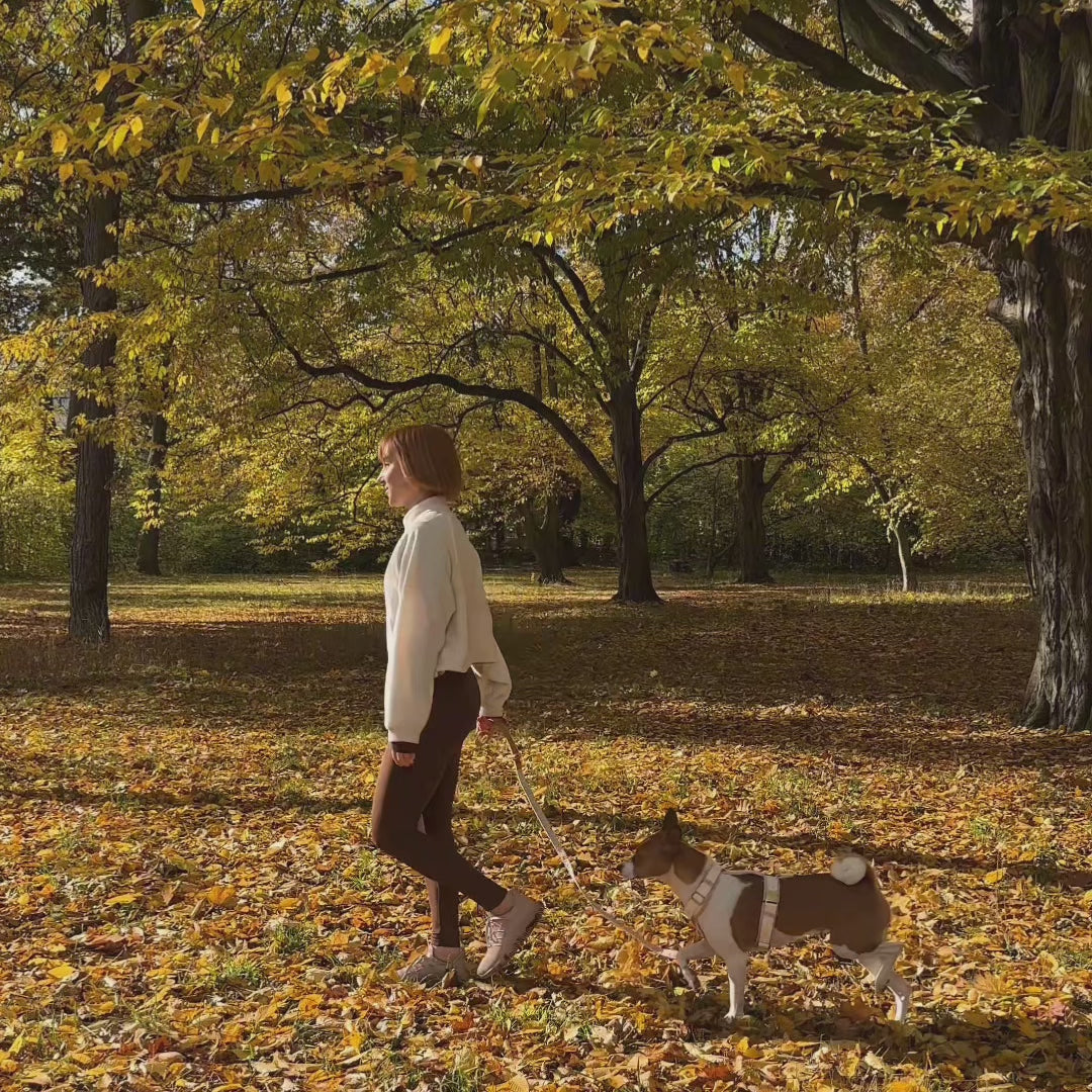 Daisy Harness and Leash