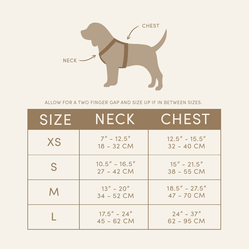 Daisy Harness and Leash