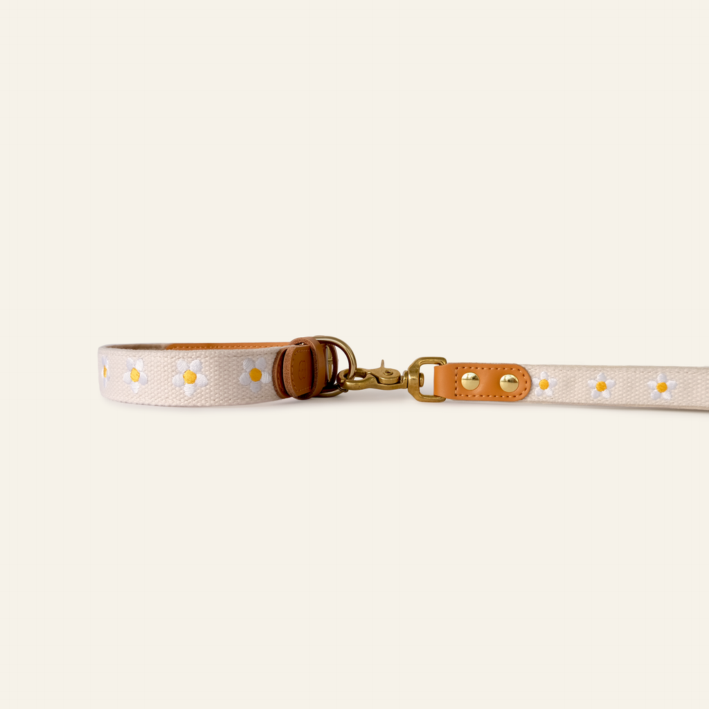 Daisy Dog Traffic Handle
