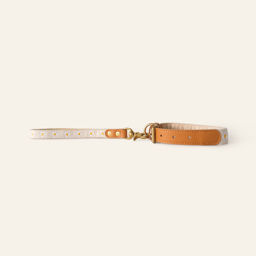 Daisy Dog Traffic Handle